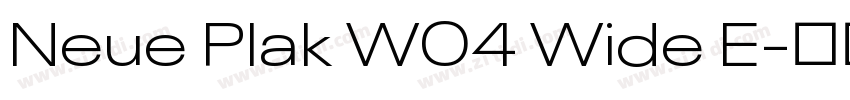 Neue Plak W04 Wide E字体转换